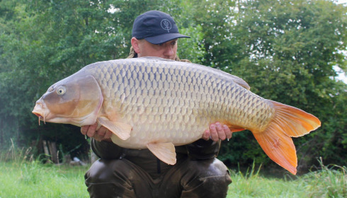 A carp from Jonchery, Aug 2025