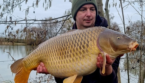 A carp from Jonchery, Feb 2024