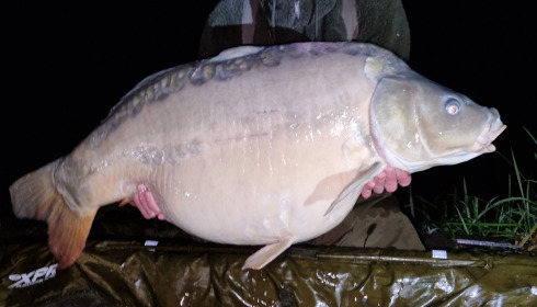 A 49 lb 7 oz carp from Jonchery, Simon Pierce, Apr 2024