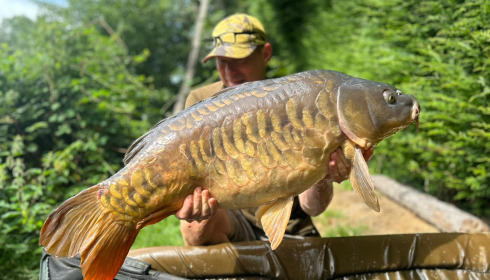A carp from La Fonte, Aug 2023