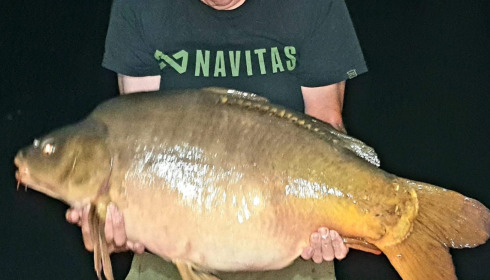 A carp from La Fonte, Sep 2023