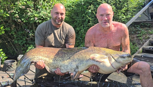 A fish from La Fonte, Catfish king of the lake 160lb, Jun 2024