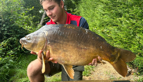 A fish from La Fonte, Aug 2023