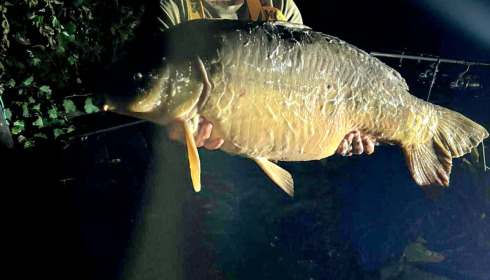 A 40 lb fish from La Fonte, 40lb blank saver, Sep 2025
