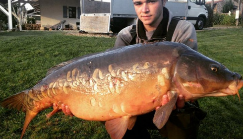 A carp from Lakeview, Jan 2024
