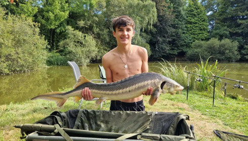 A carp from Lakeview, Jan 2024
