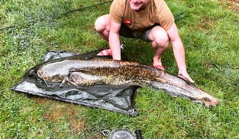 A carp from Lakeview, Jan 2024