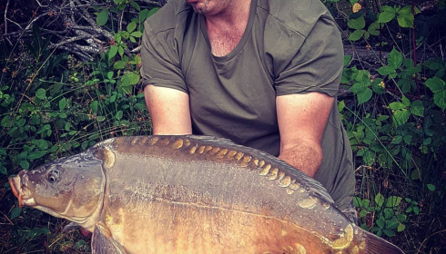 A carp from Lakeview, Jan 2024