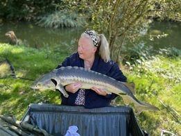 A carp from Lakeview, Jan 2024