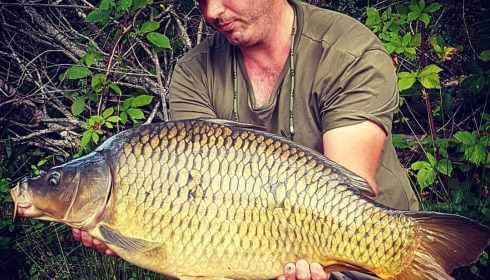 A carp from Lakeview, Jan 2024