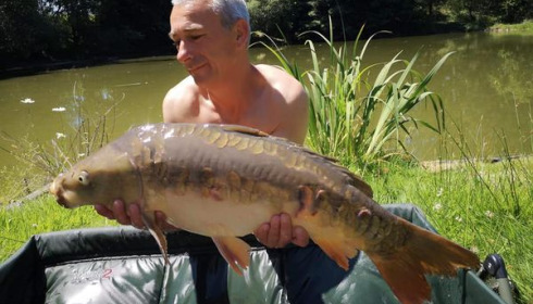 A carp from Lakeview, Jan 2024