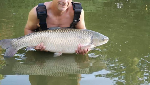 A carp from Lakeview, Jan 2024