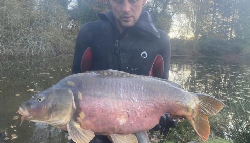 A carp from Lakeview, New Stock, Jan 2024