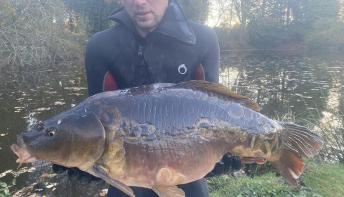 A carp from Lakeview, New Stock, Jan 2024