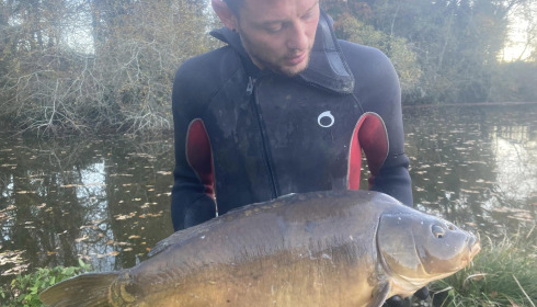 A carp from Lakeview, New Stock, Jan 2024