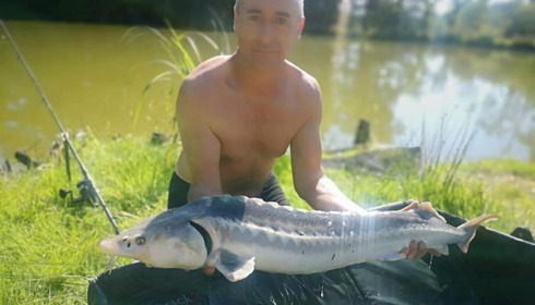 A carp from Lakeview, Jan 2024