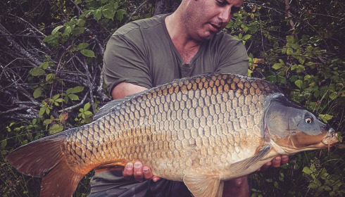 A carp from Lakeview, Jan 2024
