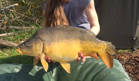 A carp from Lakeview, Jan 2024