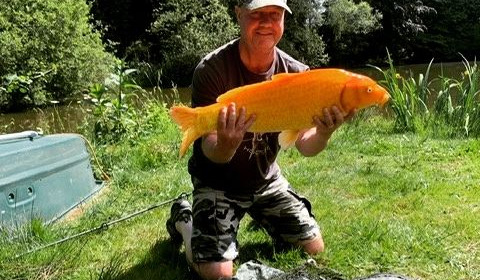 A carp from Lakeview, Jan 2024