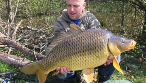 A carp from Lakeview, Jan 2024