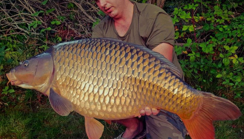 A carp from Lakeview, Jan 2024