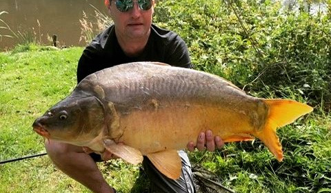 A carp from Lakeview, Jan 2024