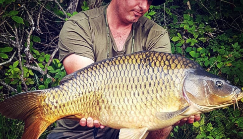 A carp from Lakeview, Jan 2024