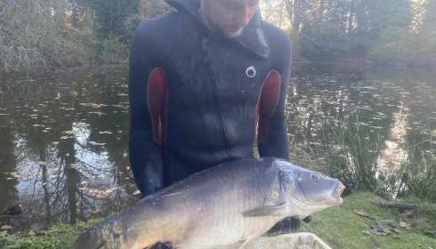A carp from Lakeview, New Stock, Jan 2024