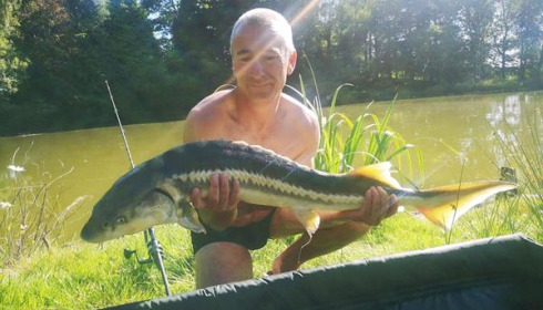 A carp from Lakeview, Jan 2024