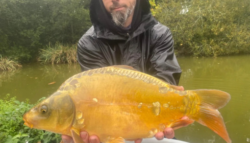 A carp from Lakeview, New Stock, Jan 2024