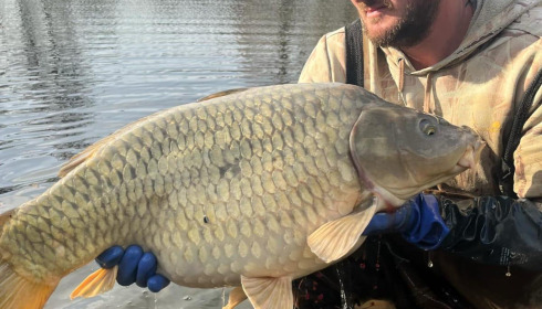 A carp from Lakeview, Additional Winter Stocking, Dec 2024