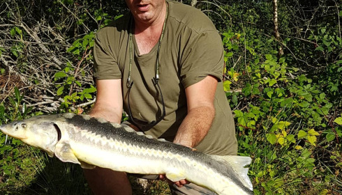 A carp from Lakeview, Jan 2024