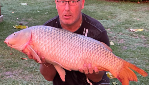 A fish from Landes, Sep 2023