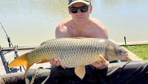 A carp from Landes, Darren Williams, Apr 2024