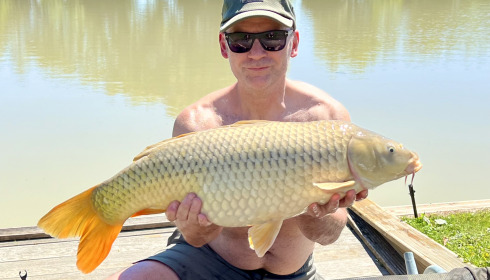 A carp from Landes, Darren Williams, Apr 2024