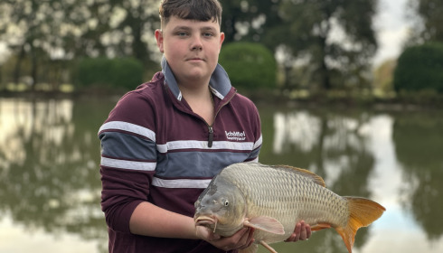 A fish from Landes, Oct 2025