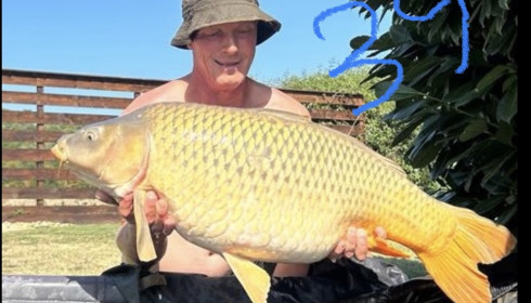 A carp from Landes, Sep 2023