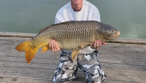 A 37 lb 8 oz fish from Landes, Common, May 2025