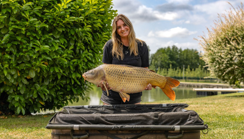 A carp from Landes, Jun 2025