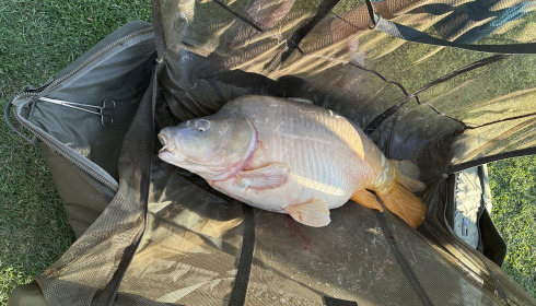 A 42 lb carp from Landes, Peter Rycroft, Sep 2024