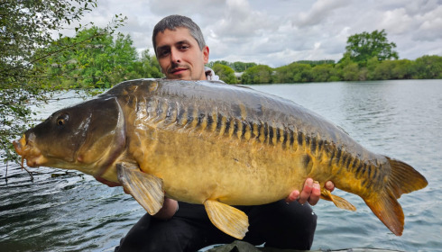 A fish from Laroussi, Jun 2025