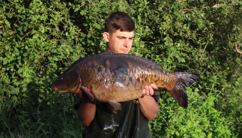A fish from Laroussi, Aug 2024