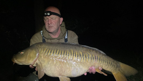 A carp from Laroussi, Jun 2025