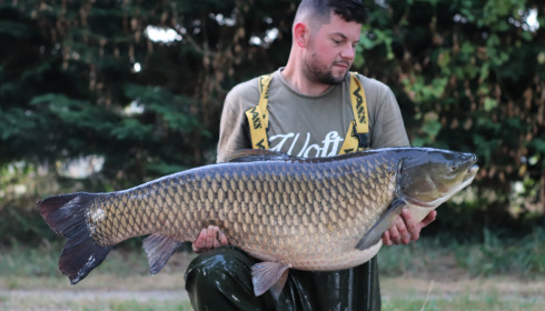 A fish from Laroussi, Aug 2024
