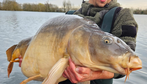 A 66 lb carp from Laroussi, Mar 2025