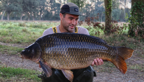 A carp from Laroussi, Sep 2023