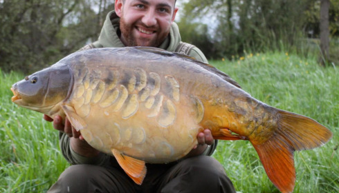 A carp from Laroussi, Apr 2024