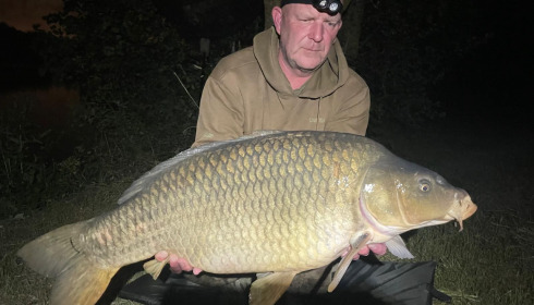 A carp from Laroussi, Jun 2025