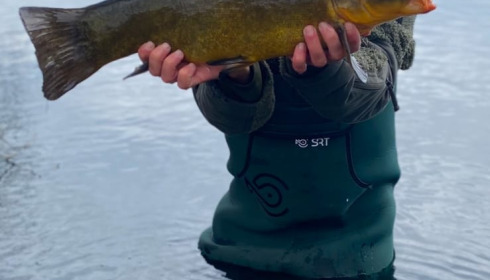 A fish from Laroussi, 8lb Tench, Mar 2025