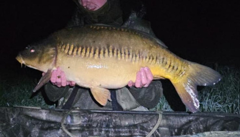 A carp from Laroussi, Apr 2024